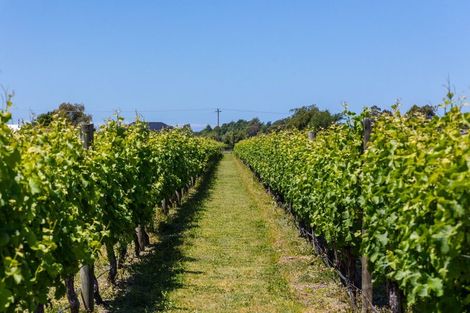 Photo of property in 5 Brook Street, Renwick, 7204