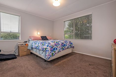 Photo of property in 158 Stanford Street North, Ashhurst, 4810