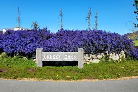 Photo of property in 29 Cressy Place, Darfield, 7510