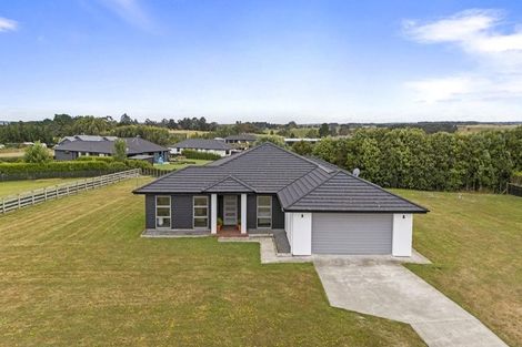 Photo of property in 46 Wapiti Avenue, Feilding, 4775