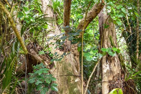 Photo of property in 1288 Manaia Road, Manaia, Coromandel, 3581