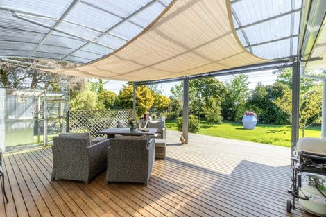 Photo of property in 33 Skerman Street, Marton, 4710