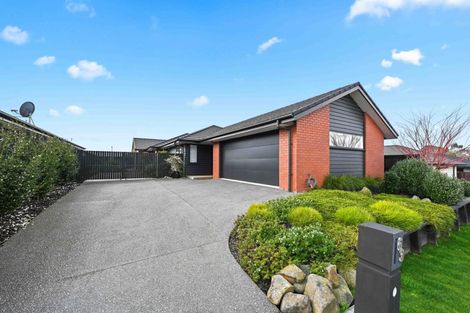 Photo of property in 63 Ladeira Place, Fitzroy, Hamilton, 3206