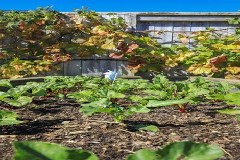 Photo of property in 22 Merrimana Drive, Thames, 3500