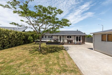 Photo of property in 6 York Avenue, Tamatea, Napier, 4112