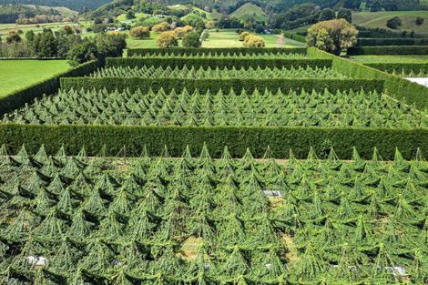 Photo of property in 121 Macdonald Road, Te Teko, Whakatane, 3192