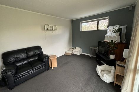 Photo of property in 40 Lyndon Street, Waiau, 7332