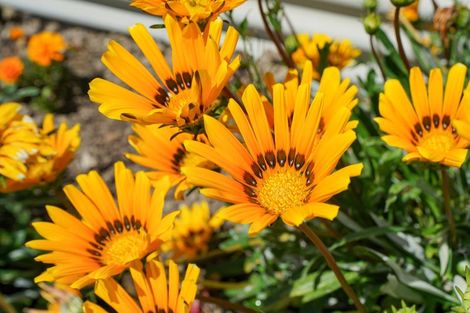 Photo of property in 354 Rockdale Road, Rockdale, Invercargill, 9812