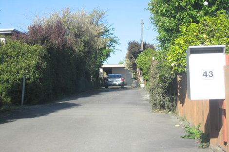 Photo of property in 43 Redwood Street, Blenheim, 7201