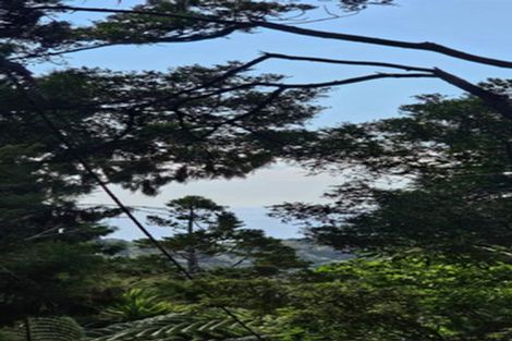 Photo of property in 105 Lone Kauri Road, Karekare, New Lynn, 0772