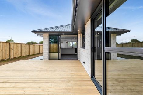 Photo of property in 119a Hamlet Street, Stratford, 4332