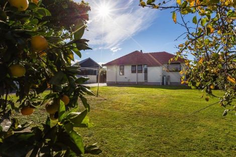 Photo of property in 730 Ngaio Street, Mahora, Hastings, 4120