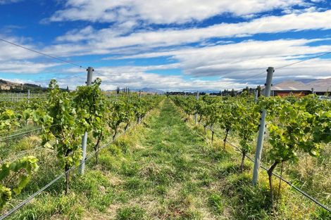 Photo of property in 90 Willowbank Road, Queensberry, Cromwell, 9383