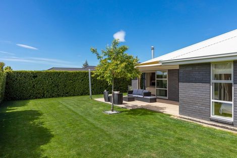 Photo of property in 206 Taylor Pass Road, Witherlea, Blenheim, 7201