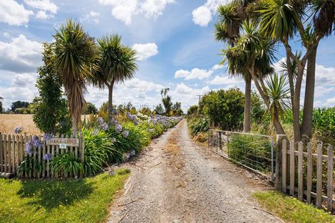 Photo of property in 176 Colemans Road, Marton, 4787