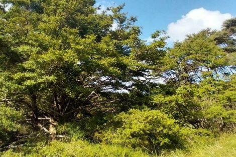 Photo of property in 1762 Kohumaru Road, Peria, Kaitaia, 0482