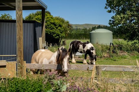 Photo of property in 13 Wards Line, Morison Bush, Greytown, 5794