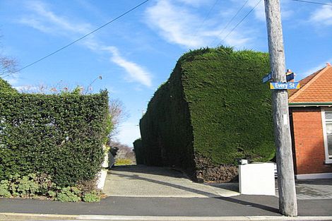 Photo of property in 84 Every Street, Andersons Bay, Dunedin, 9013