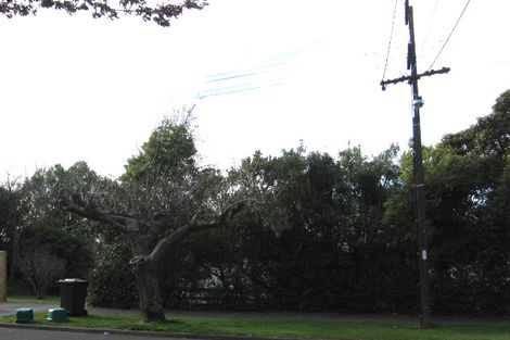 Photo of property in 40 Jordan Terrace, Lansdowne, Masterton, 5810