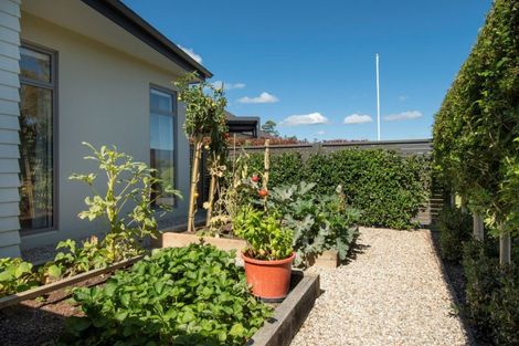 Photo of property in 5e Tui Glen, Omokoroa, 3114