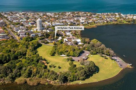 Photo of property in 19 Sylvan Park Avenue, Milford, Auckland, 0620