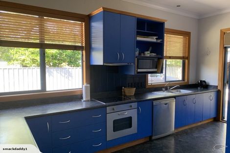Photo of property in 19 Mangapapa Road, Mangapapa, Gisborne, 4010