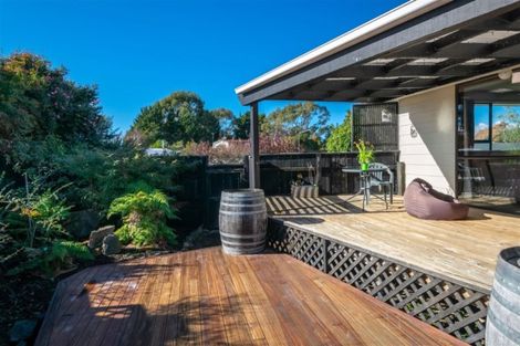 Photo of property in 9 Kowhai Drive, Renwick, 7204