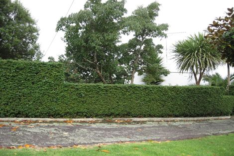 Photo of property in 20 Mount Royal Avenue, Mount Albert, Auckland, 1025