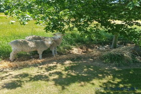 Photo of property in 550 Mclaughlins Road, Darfield, 7571