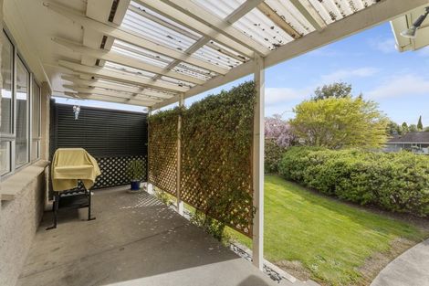 Photo of property in 35 Leefield Street, Blenheim, 7201
