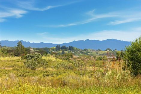 Photo of property in 11b Westwood Street, Bellevue, Tauranga, 3110