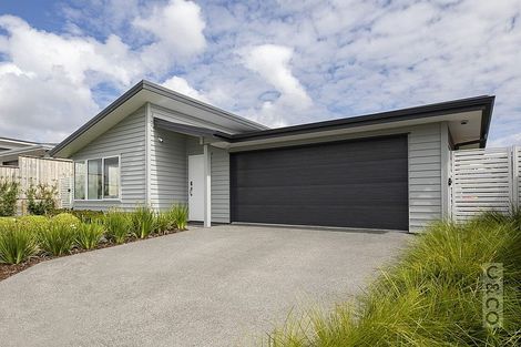 Photo of property in 31 Pitoitoi Drive, Riverhead, 0820