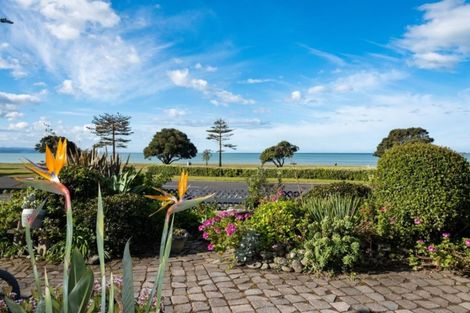 Photo of property in 24 Ferguson Avenue, Westshore, Napier, 4110