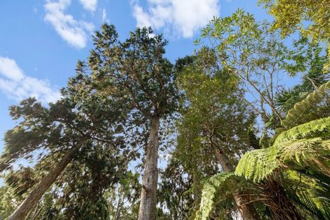 Photo of property in 74 Waima Crescent, Titirangi, Auckland, 0604