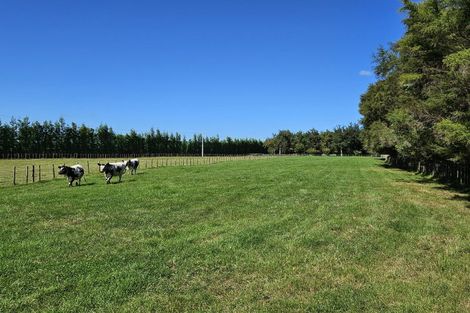 Photo of property in 298 Maungarangi Road, Paengaroa, Te Puke, 3189