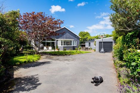 Photo of property in 248 Highgate, Roslyn, Dunedin, 9010