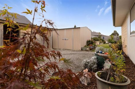 Photo of property in 5 Payne Place, Witherlea, Blenheim, 7201