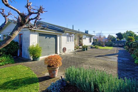 Photo of property in 45 York Street, Solway, Masterton, 5810