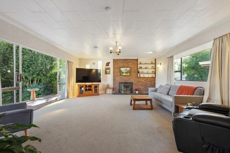 Photo of property in 45 Leefield Street, Blenheim, 7201