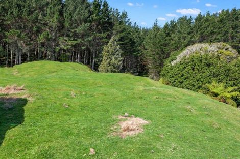 Photo of property in 327 Taneatua Road, Taneatua, Whakatane, 3191