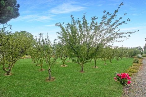 Photo of property in 128 Main North Road, Woodend, 7610