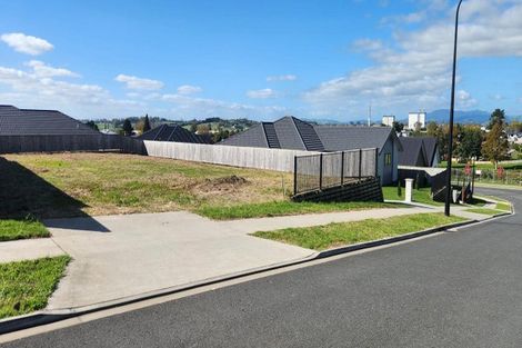 Photo of property in 64 Gateway Drive, Te Awamutu, 3800