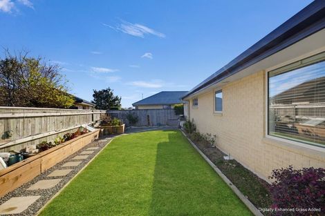 Photo of property in 19 Korari Grove, Redwoodtown, Blenheim, 7201