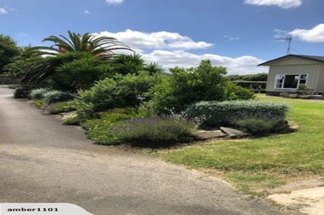 Photo of property in 7b Strathmore Street, Morrinsville, 3300