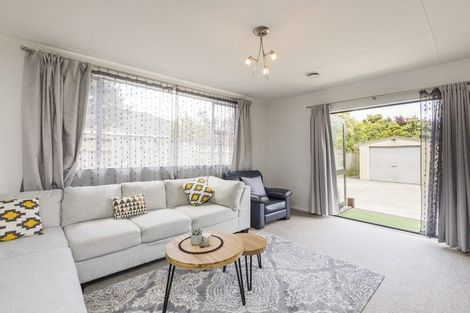 Photo of property in 800 Tremaine Avenue, Roslyn, Palmerston North, 4414