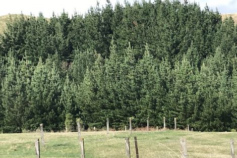 Photo of property in 487 Whangamata Road, Kinloch, Taupo, 3377