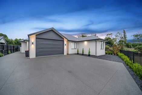 Photo of property in 155 Metehau Street, Marshland, Christchurch, 8083