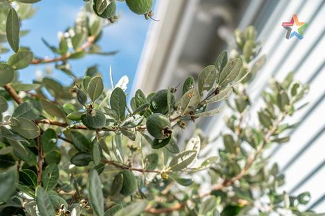 Photo of property in 32 Riddlers Crescent, Petone, Lower Hutt, 5012