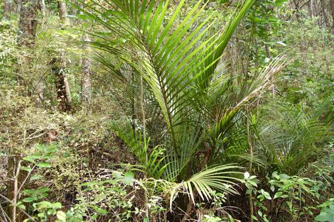 Photo of property in 542 Oneriri Road, Kaiwaka, 0573