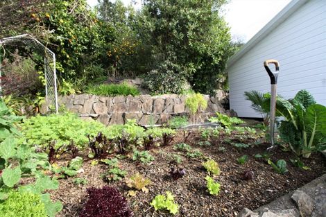 Photo of property in 105 Waireka Place, Whangamata, 3620